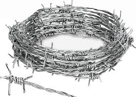 Barb Wire